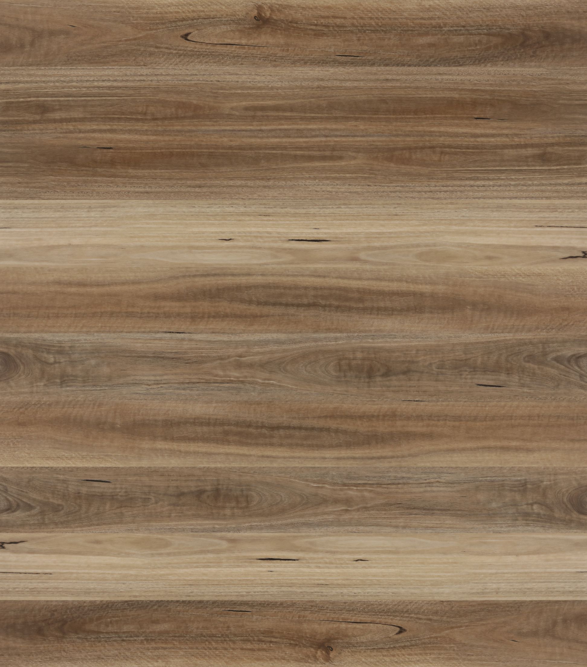 Spotted Gum Hybrid Flooring Hybrid Timber Flooring Sydney Style Timber Floor