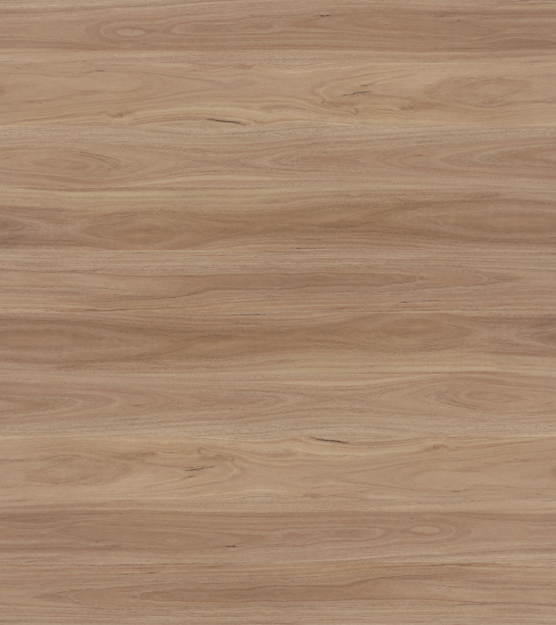 Blackbutt Hybrid Flooring Hybrid Timber Flooring Sydney Style Timber Floor